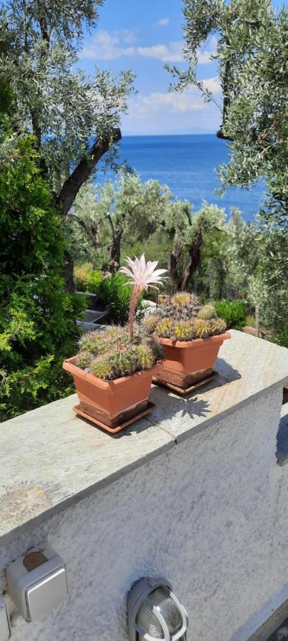 Villa Imelda Áfissos Buitenkant foto